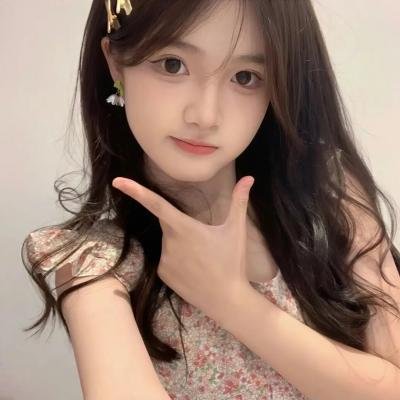 超级情报员麦汉续集